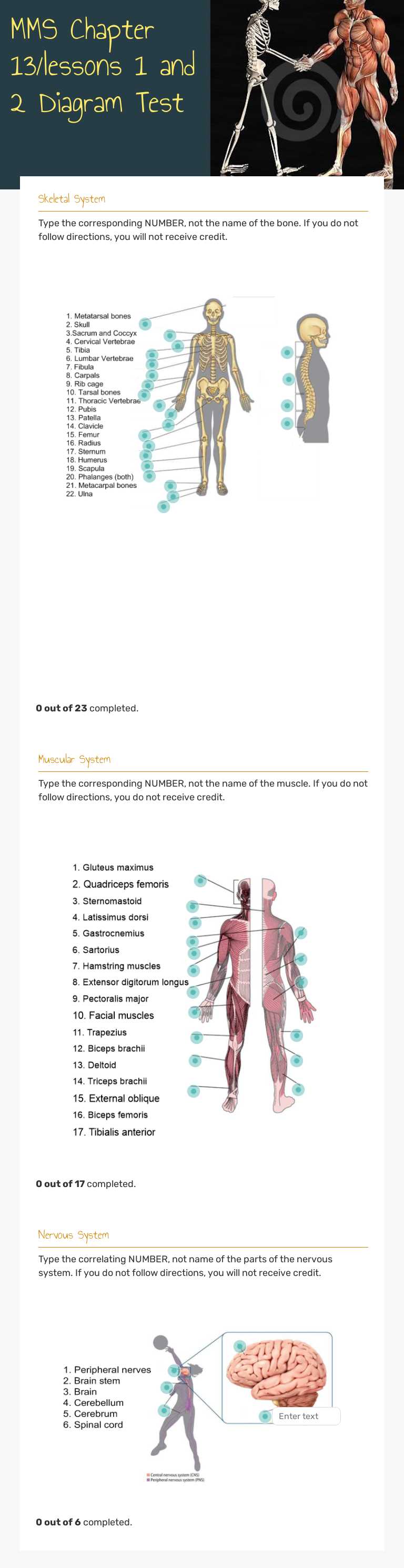 MMS Chapter 13/lessons 1 and 2 Diagram Test worksheet preview