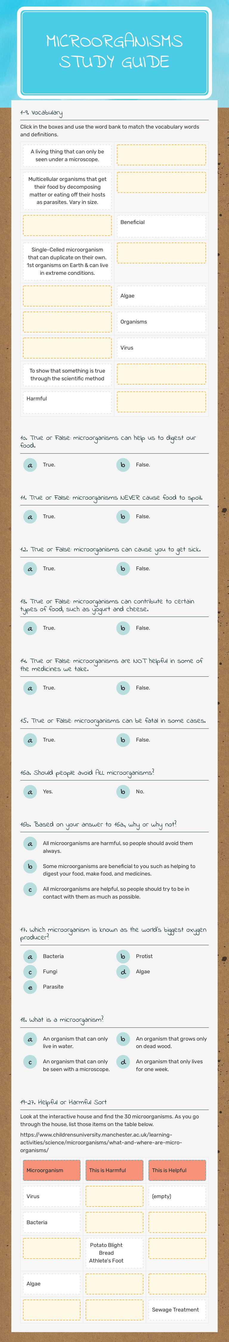 Microorganisms Study Guide Grade 5 worksheet preview