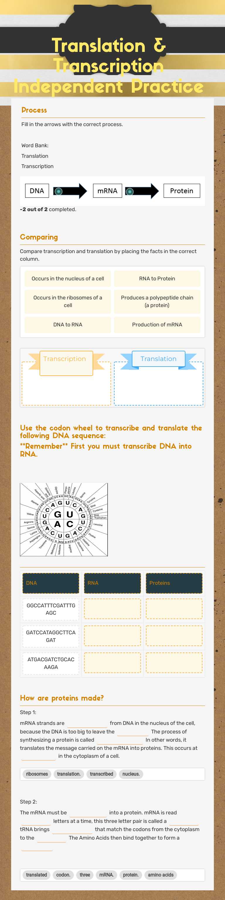 Translation & Transcription Independent Practice by Chelsea Belizaire ...