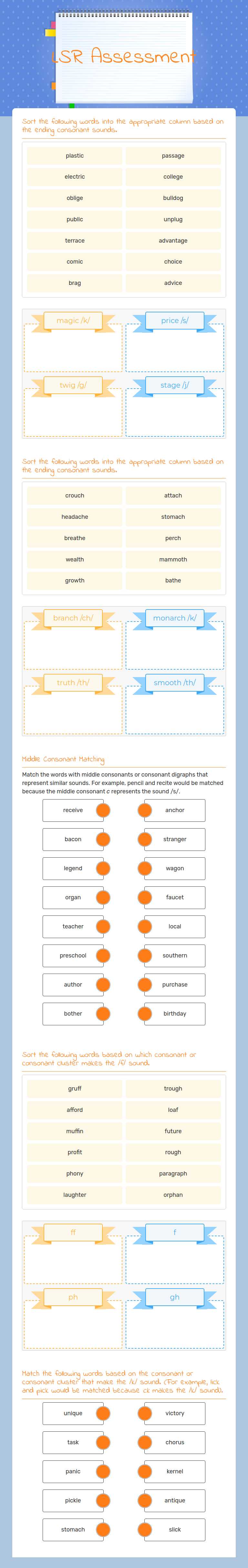 LSR Assessment worksheet preview image