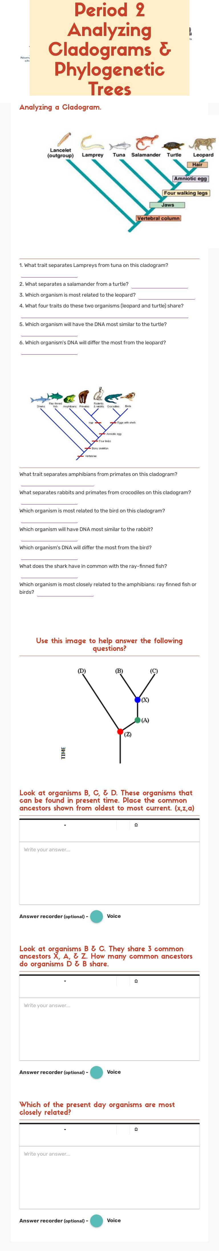 Period 2 Analyzing Cladograms & Phylogenetic Trees worksheet preview image