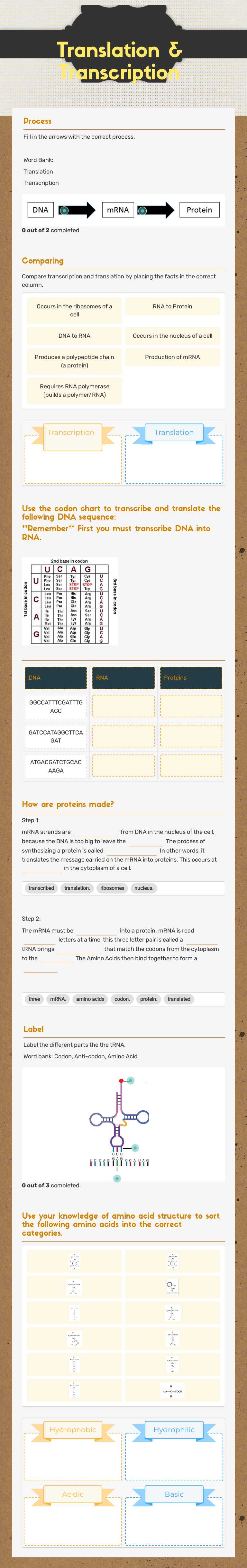 Translation & Transcription worksheet preview image