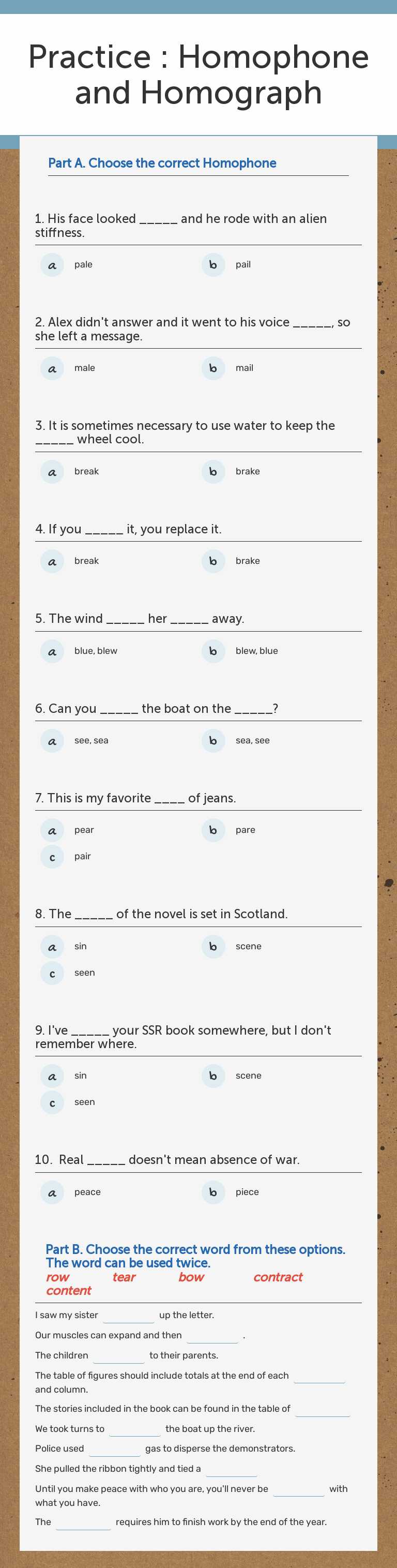 Practice : Homophone and Homograph worksheet preview image
