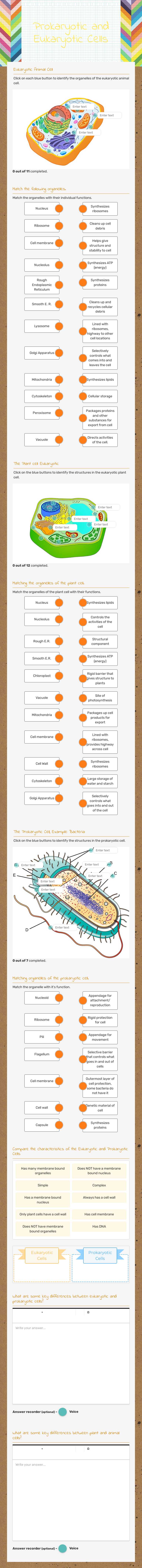 Prokaryotic and Eukaryotic Cells worksheet preview image