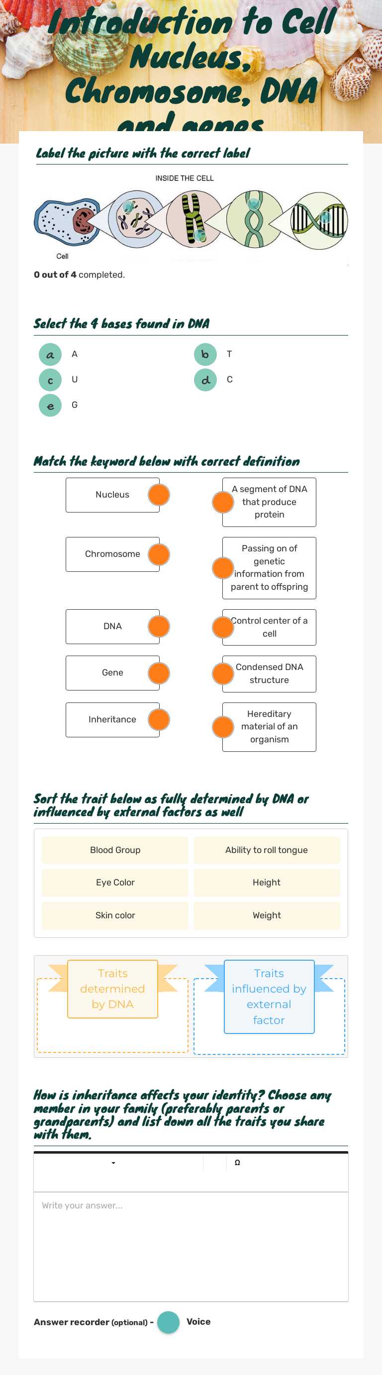 Introduction to Cell Nucleus, Chromosome, DNA and genes worksheet preview image