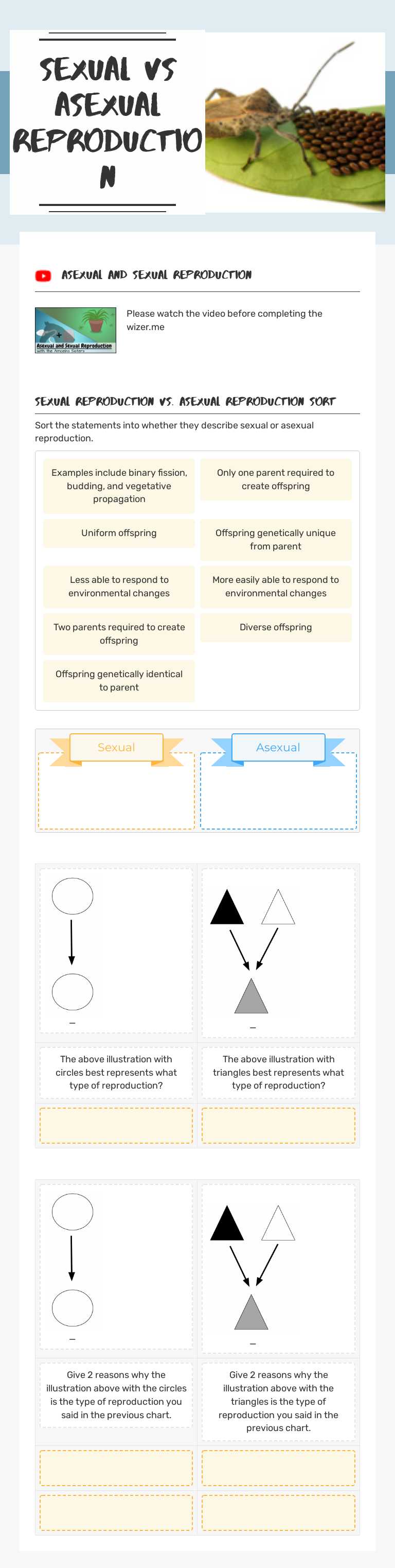 Sexual vs Asexual Reproduction worksheet preview image