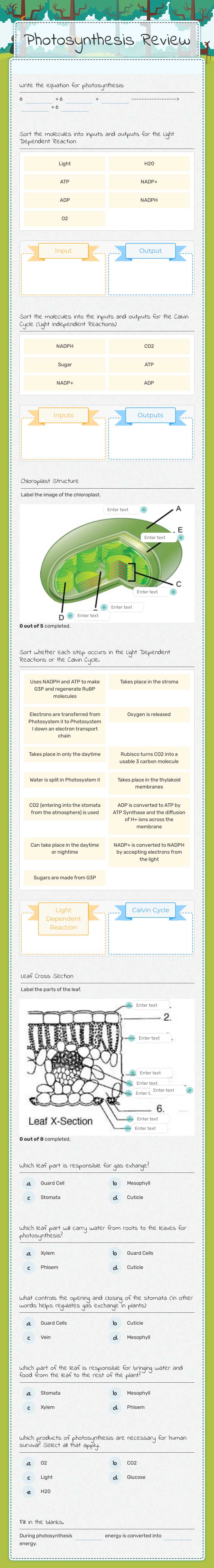 Photosynthesis Review worksheet preview
