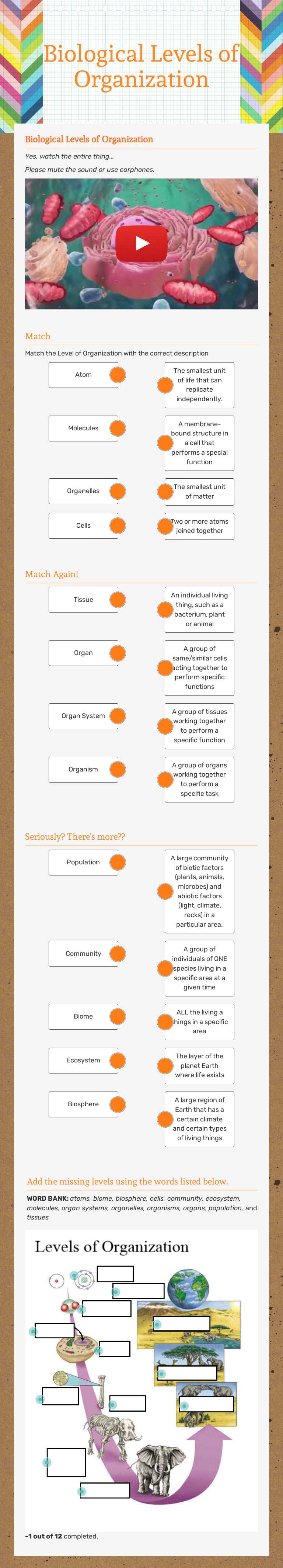 Biological Levels of Organization worksheet preview image