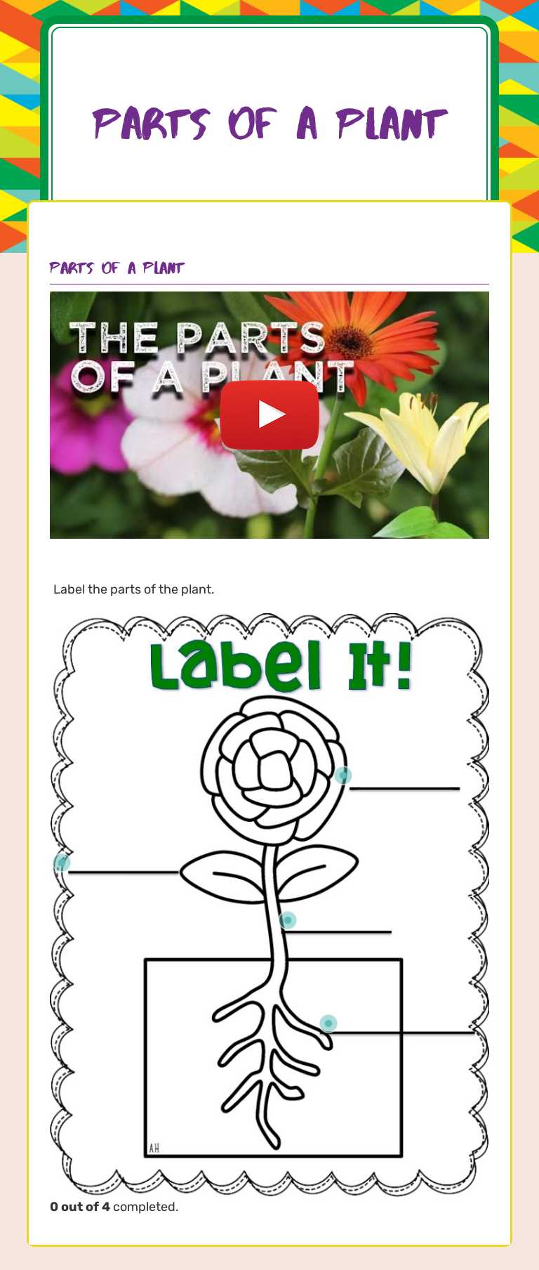 Parts of a plant Grade 2 worksheet preview