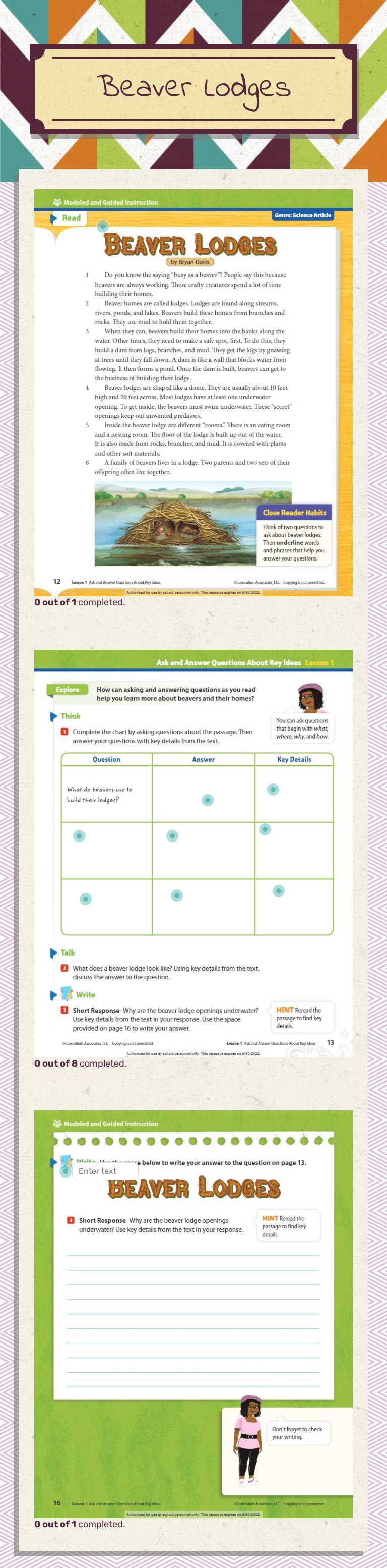 Beaver Lodges worksheet preview image