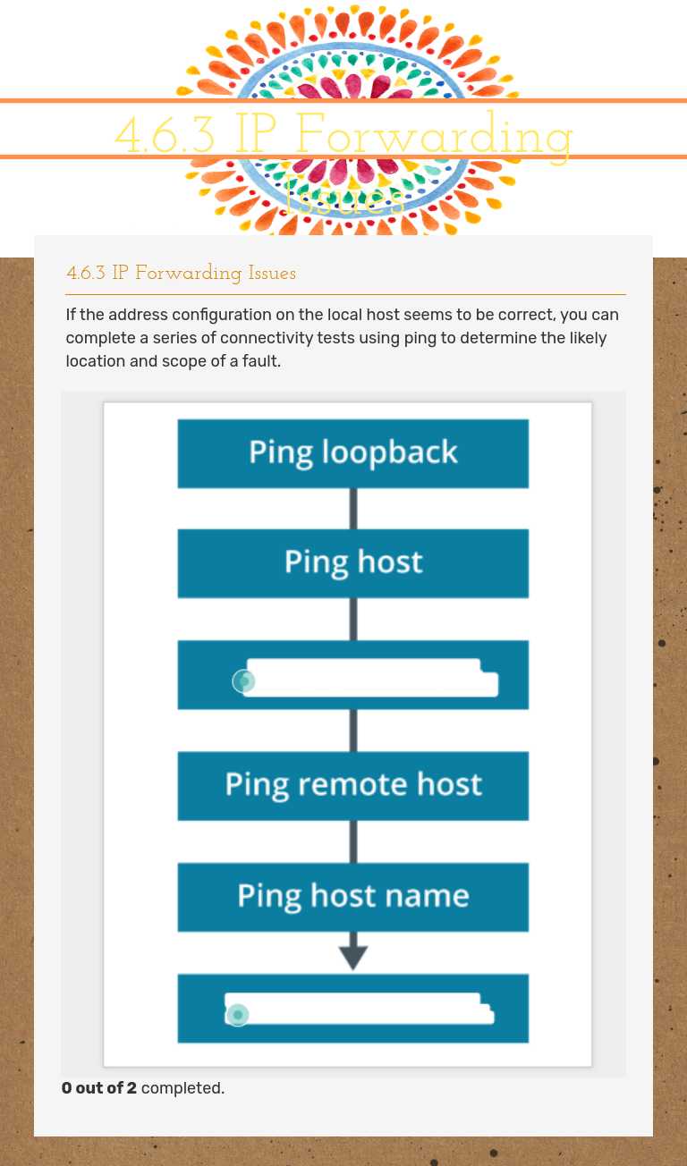 4.6.3 IP Forwarding Issues worksheet preview image