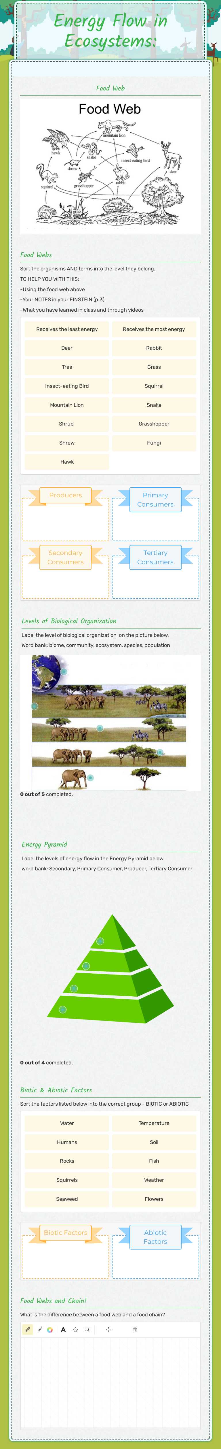 Energy Flow in Ecosystems: worksheet preview image