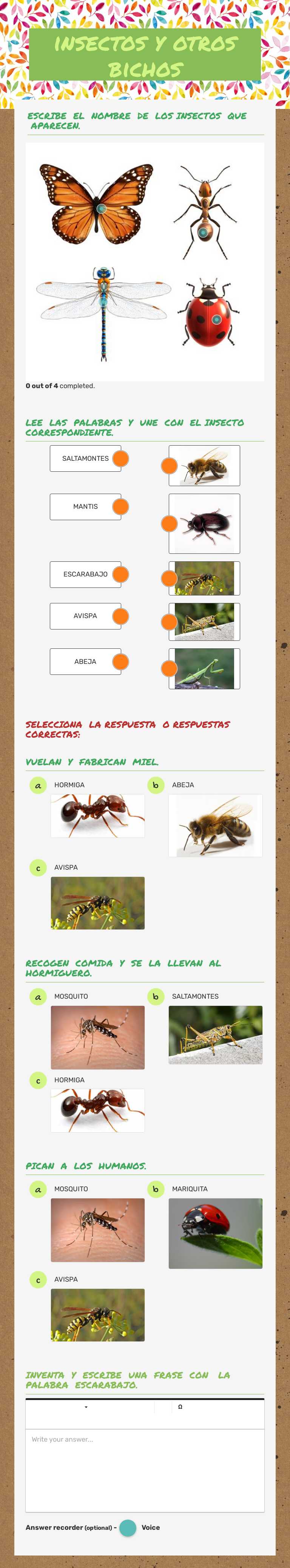 insectos y otros bichos worksheet preview image