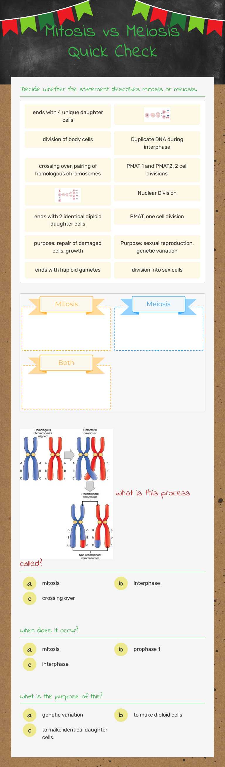 Mitosis vs Meiosis Quick Check worksheet preview image