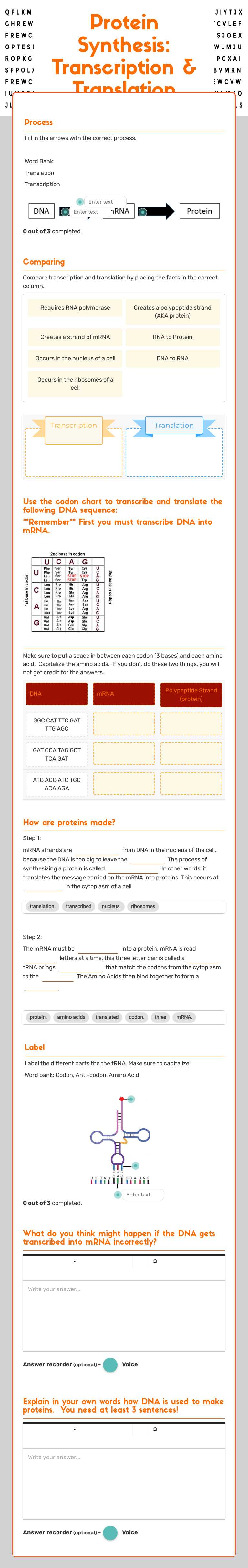 Protein Synthesis: Transcription & Translation worksheet preview image