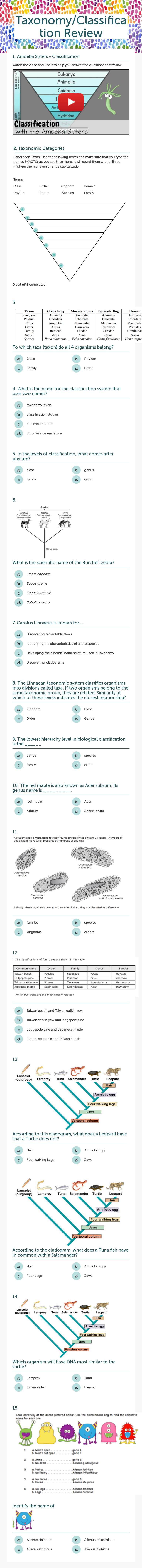 Taxonomy/Classification Review worksheet preview image
