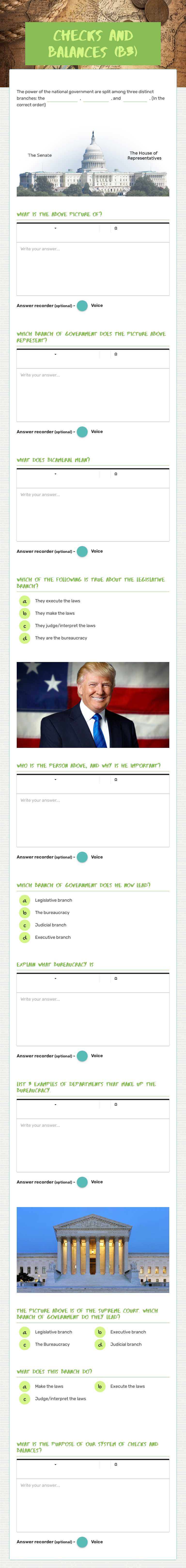 Checks and Balances (B3) Grade 8 worksheet preview
