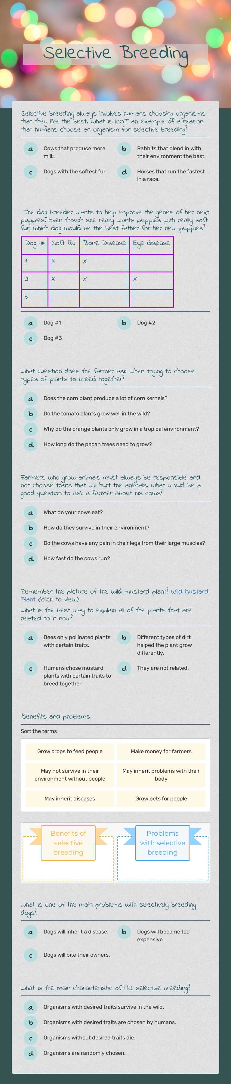 Selective Breeding worksheet preview image