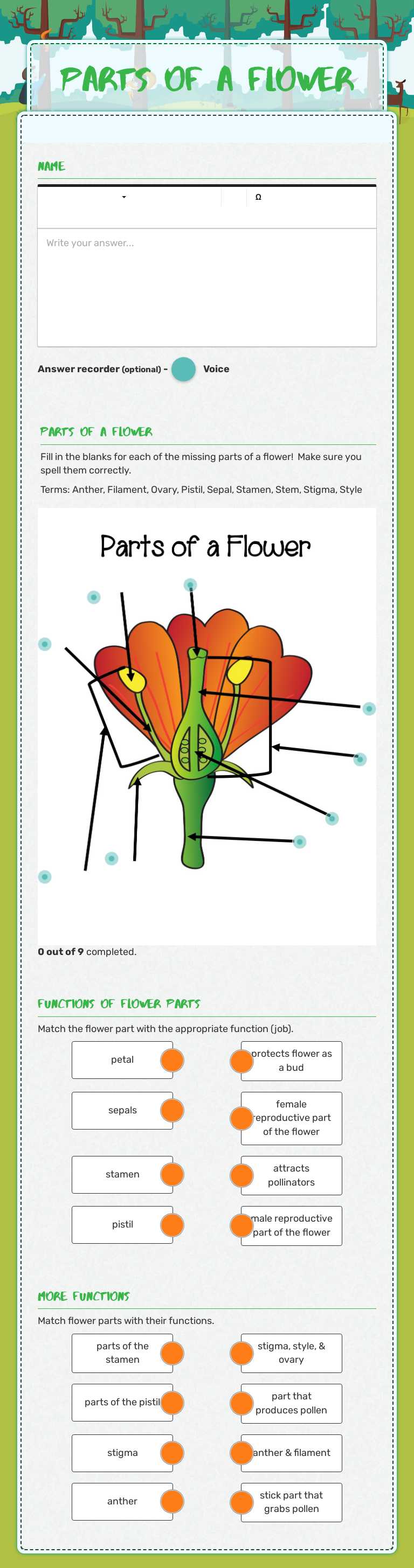 Parts of a flower worksheet preview image