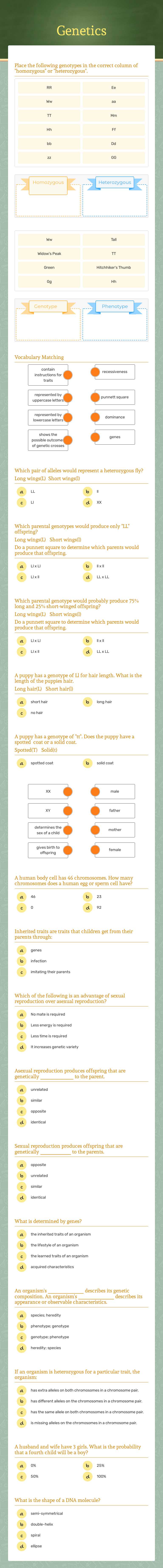Genetics Grade 7 worksheet preview