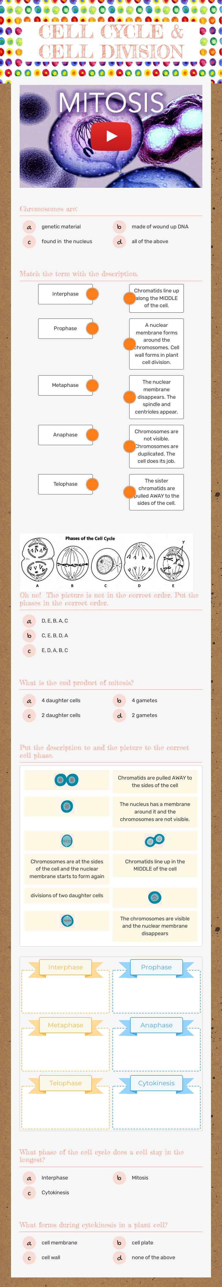 CELL CYCLE & CELL DIVISION worksheet preview image