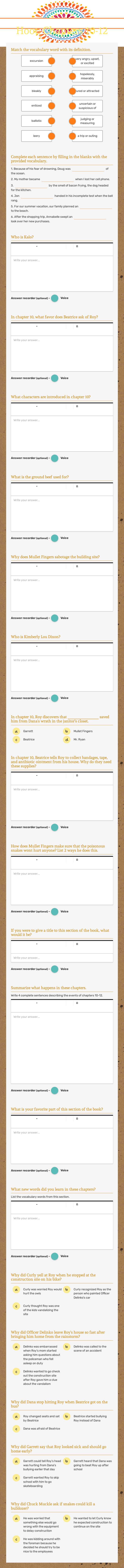 Hoot: Chapters 10-12 worksheet preview image