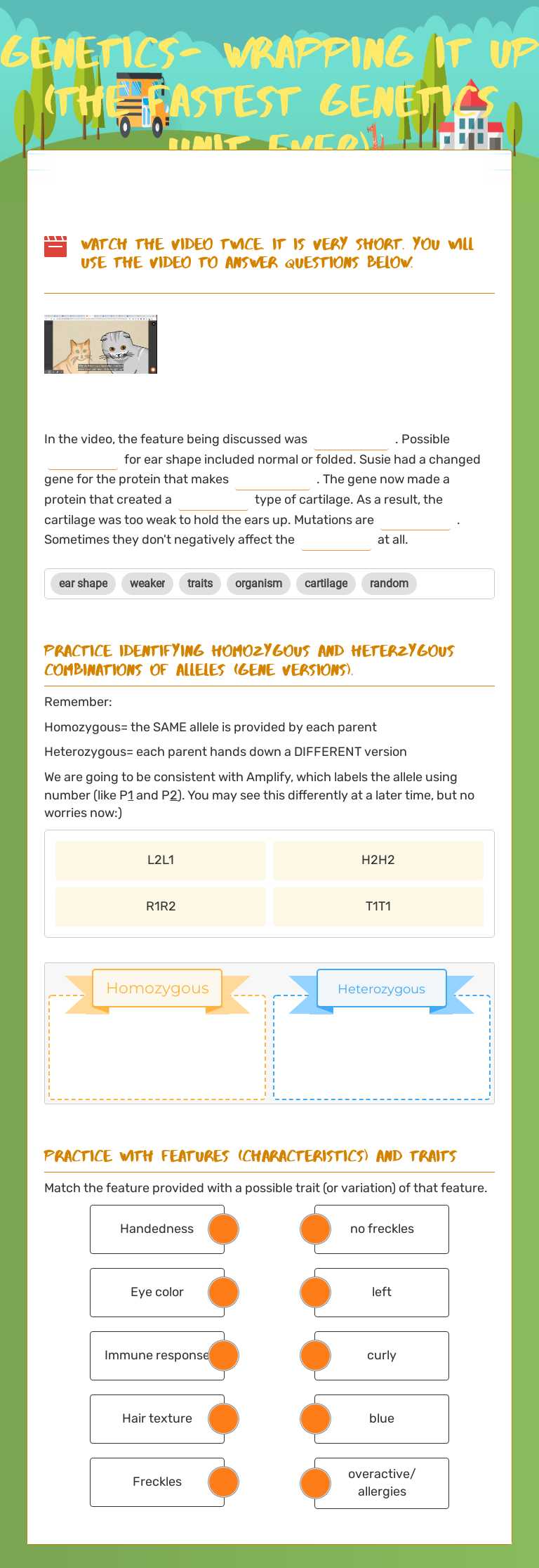 Genetics- wrapping it up (the fastest genetics unit ever) worksheet preview image