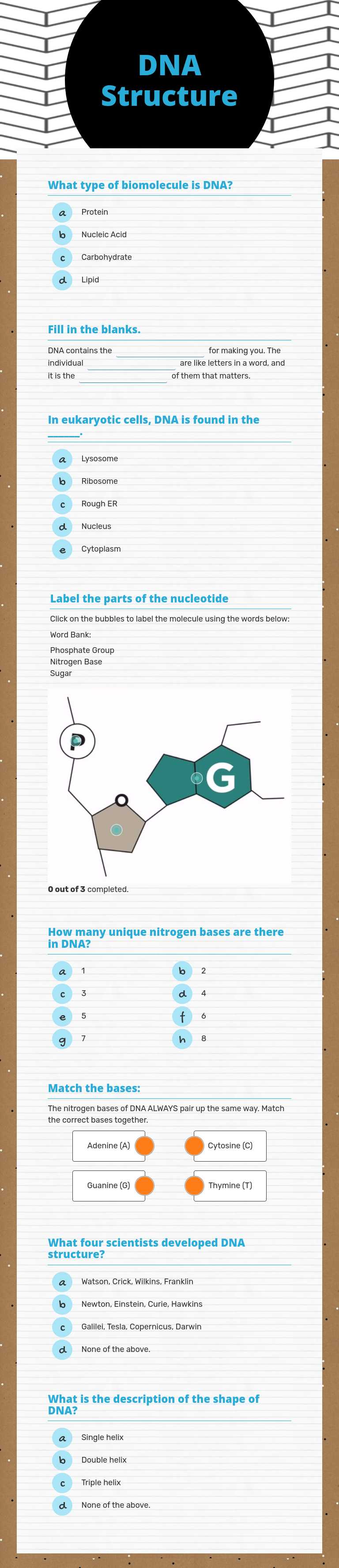 DNA Structure worksheet preview image