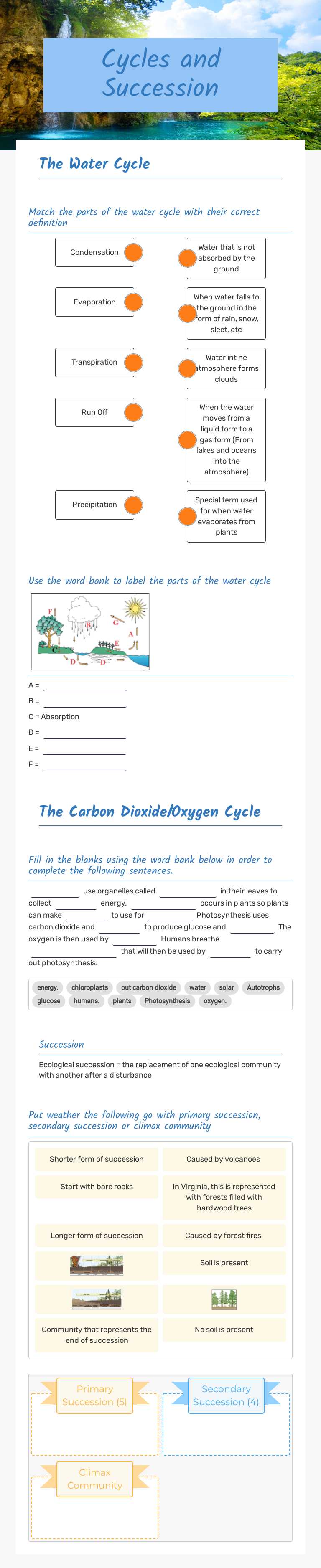 Cycles and Succession worksheet preview image