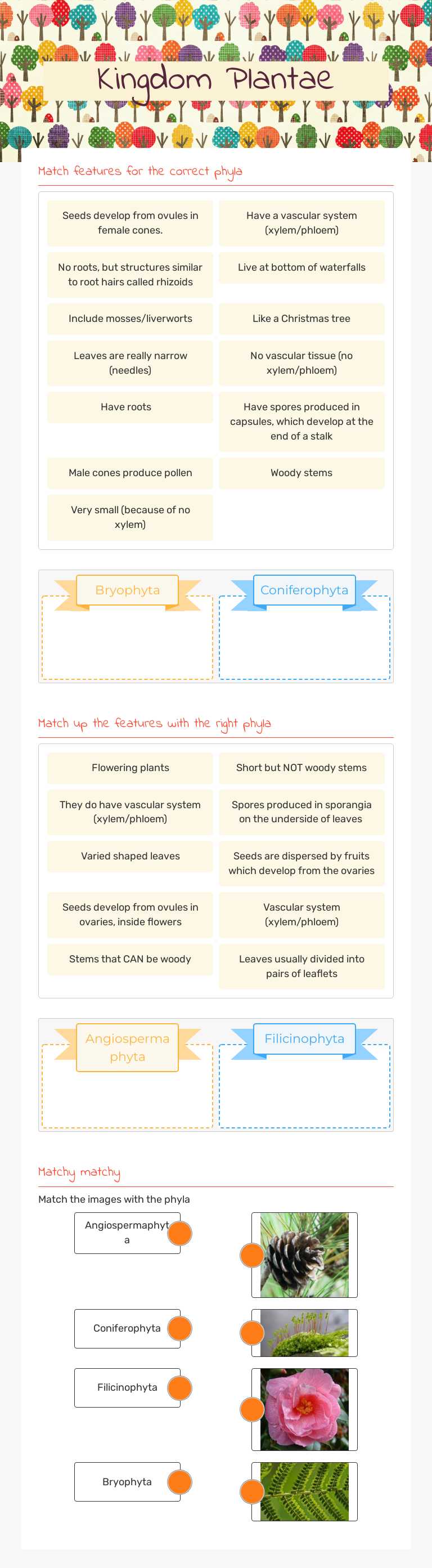 Kingdom Plantae worksheet preview image
