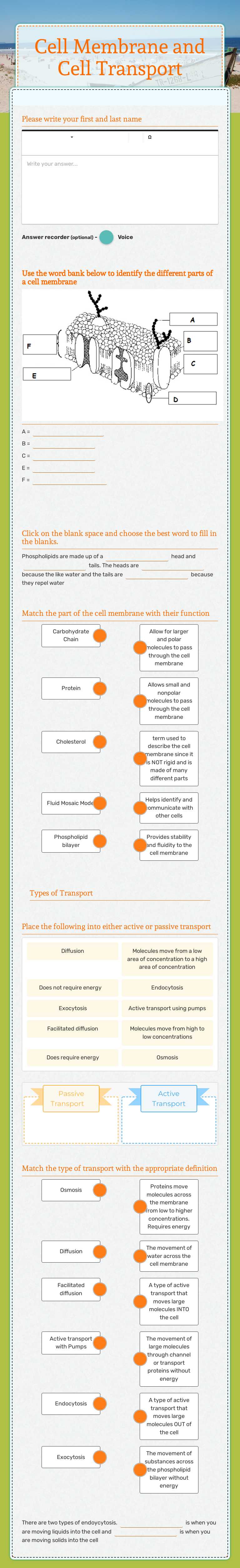 Cell Membrane and Cell Transport worksheet preview image