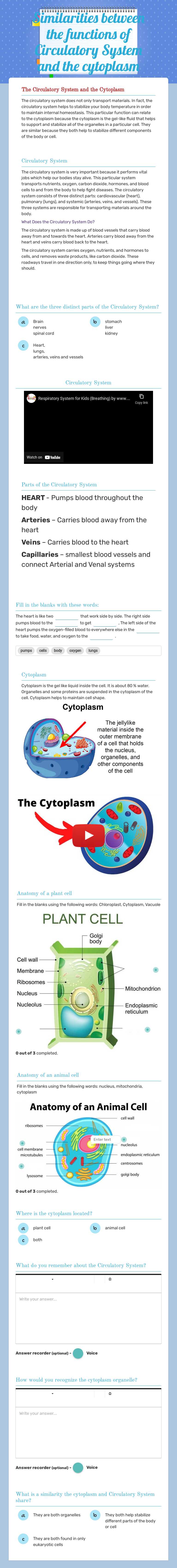 Similarities between the functions of Circulatory System and the cytoplasm Grade 7 worksheet preview