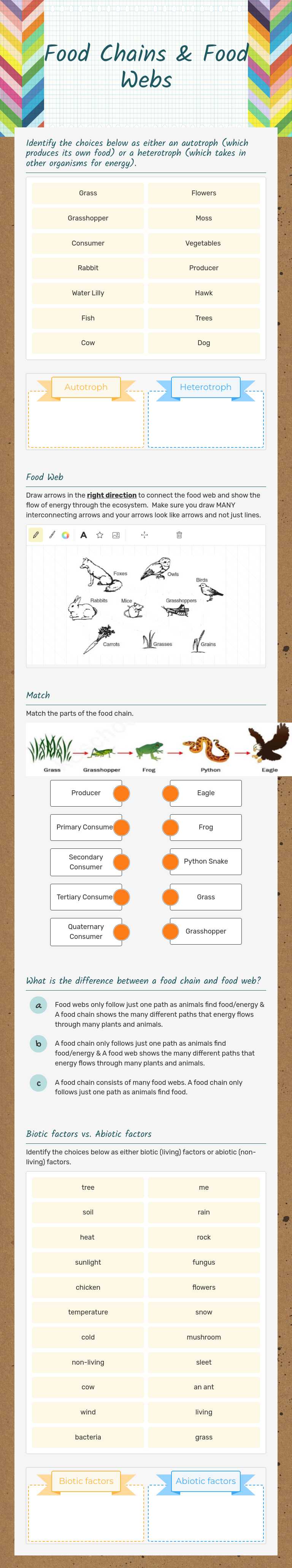 Food Chains & Food Webs worksheet preview image