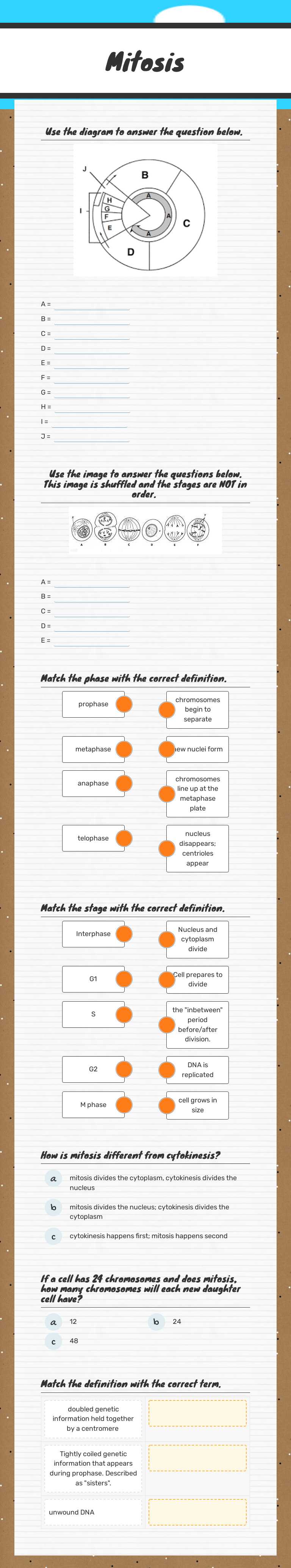 Mitosis worksheet preview image