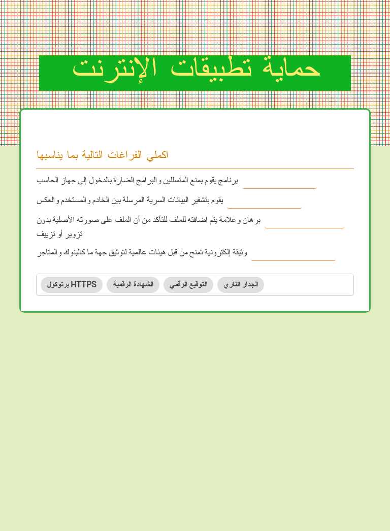 حماية تطبيقات الإنترنت Grade 11 worksheet preview