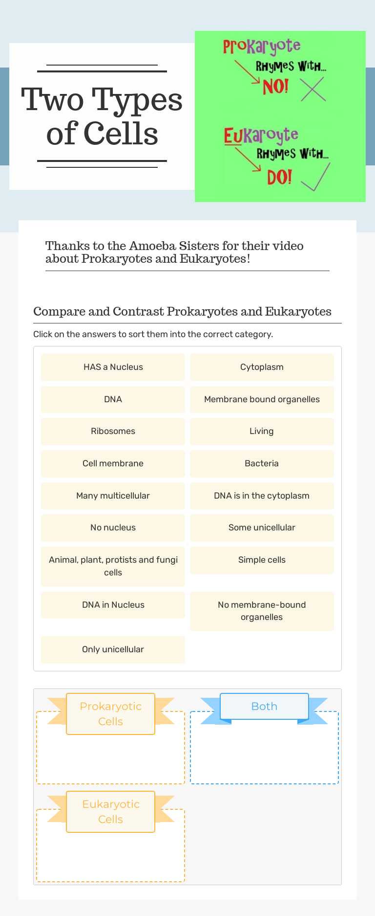 Two Types of Cells worksheet preview image