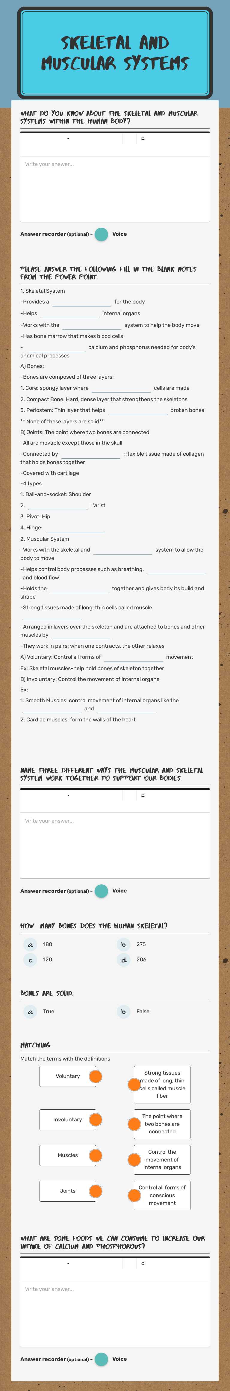 Skeletal and Muscular Systems worksheet preview image