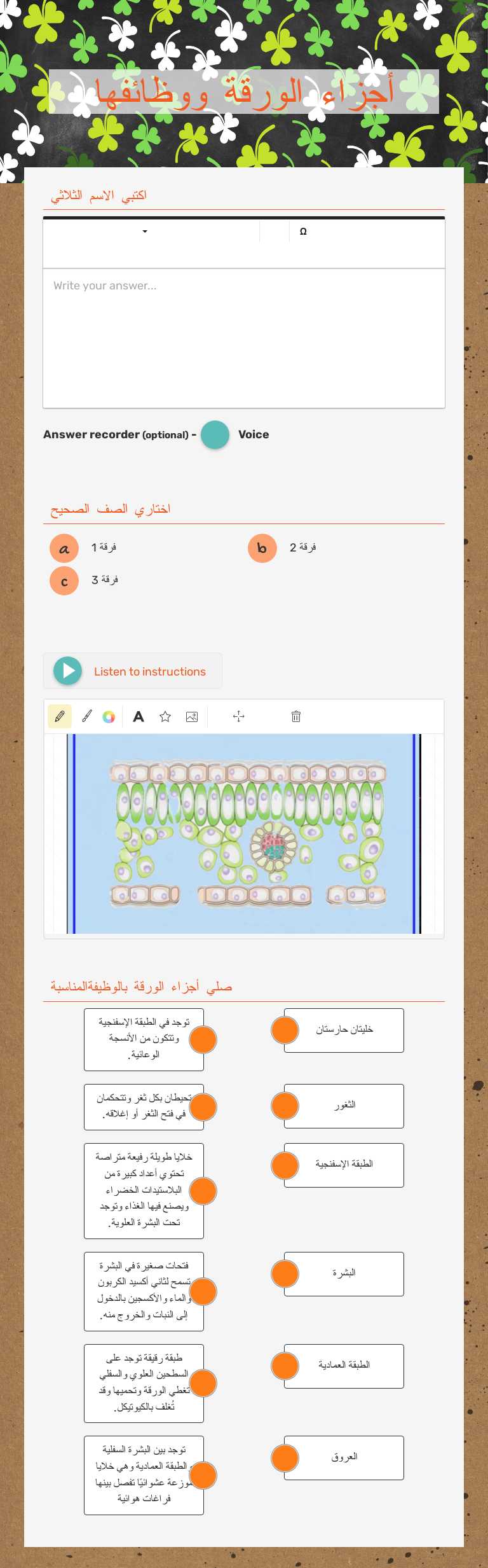 أجزاء الورقة ووظائفها Grade 7 worksheet preview
