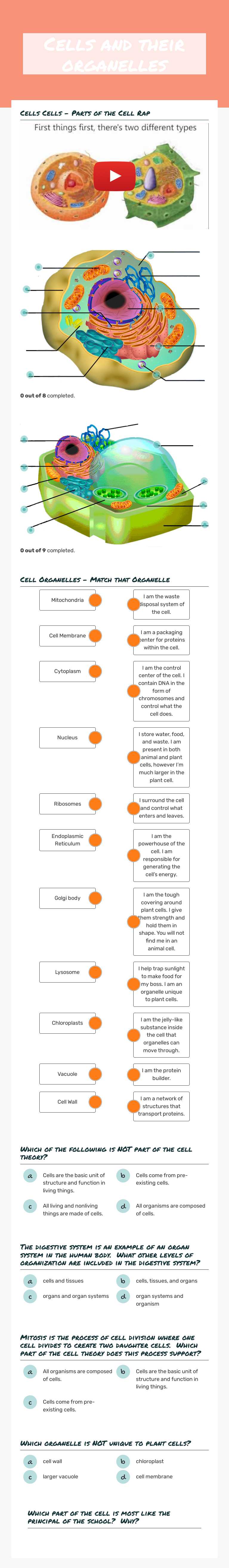 Cells and their organelles worksheet preview image
