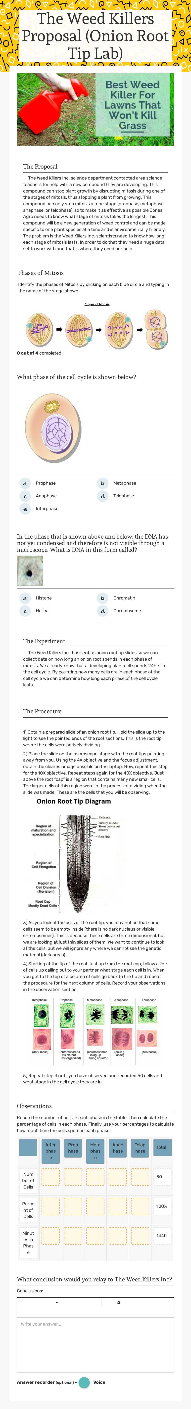 The Weed Killers Proposal (Onion Root Tip Lab) worksheet preview image