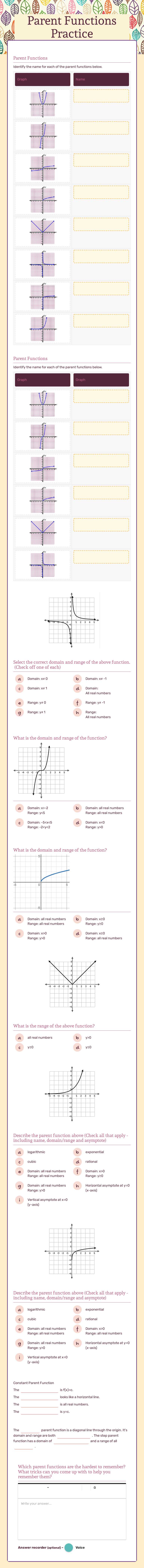 Parent Functions Practice worksheet preview image