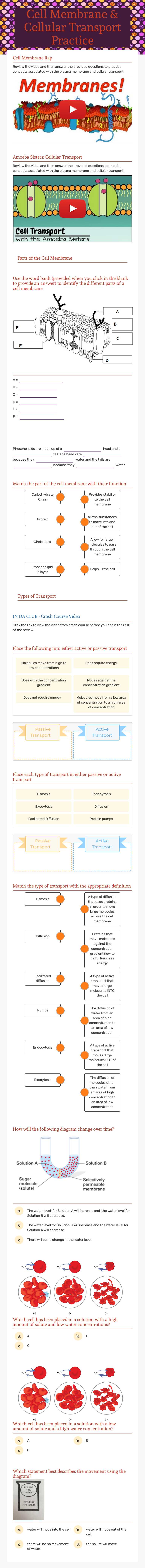 Cell Membrane & Cellular Transport Practice Grade 10 worksheet preview