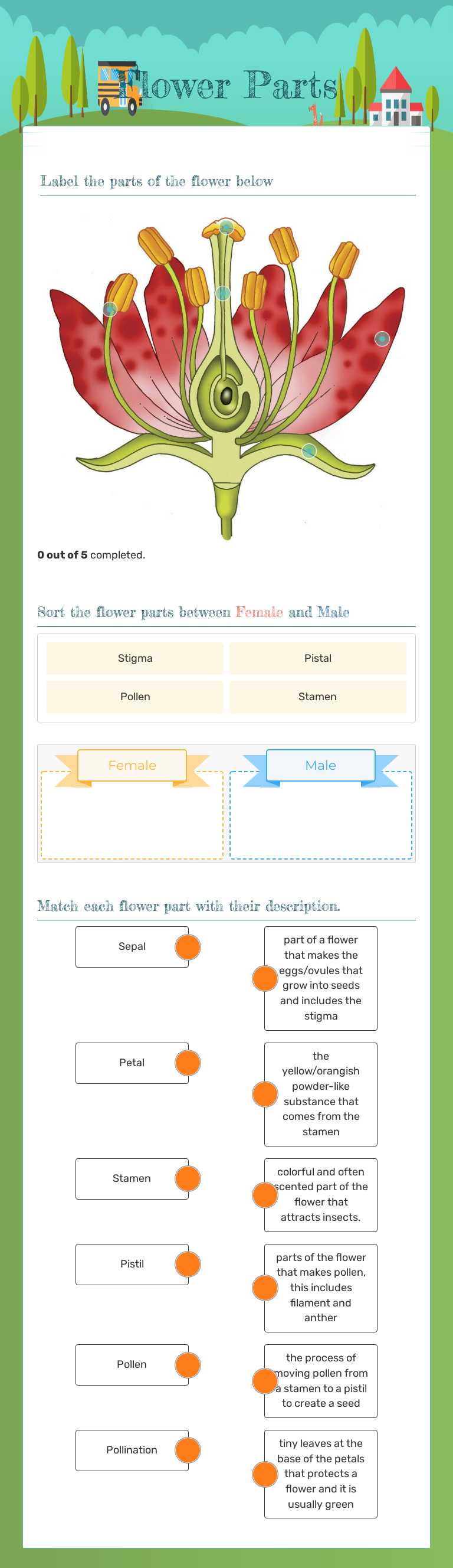 Flower Parts worksheet preview image