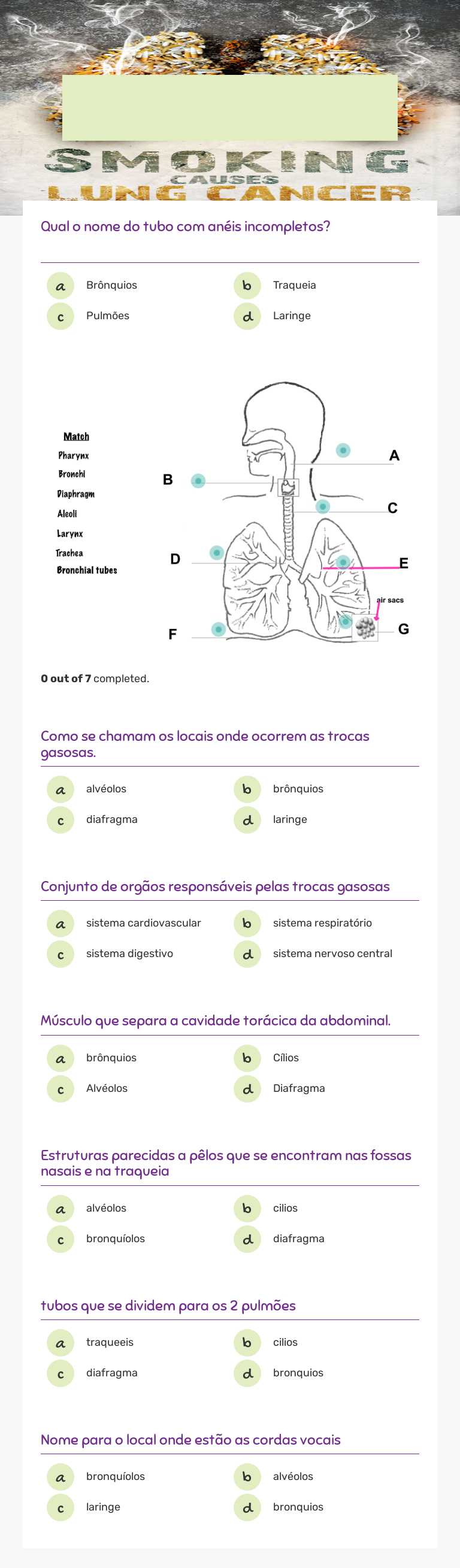 Sistema Respiratório worksheet preview image