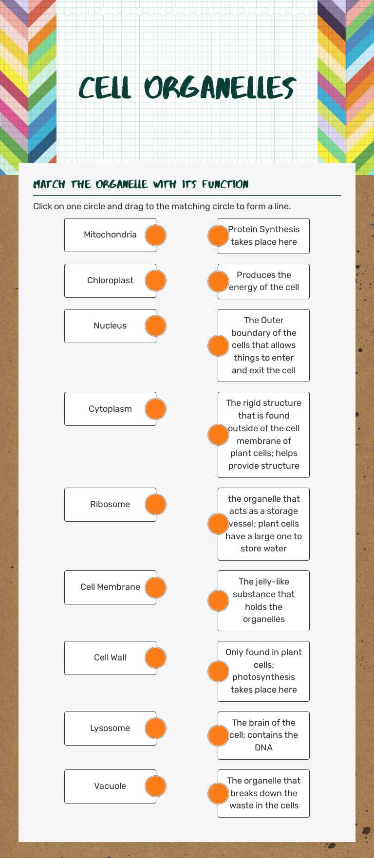 Cell Organelles worksheet preview image