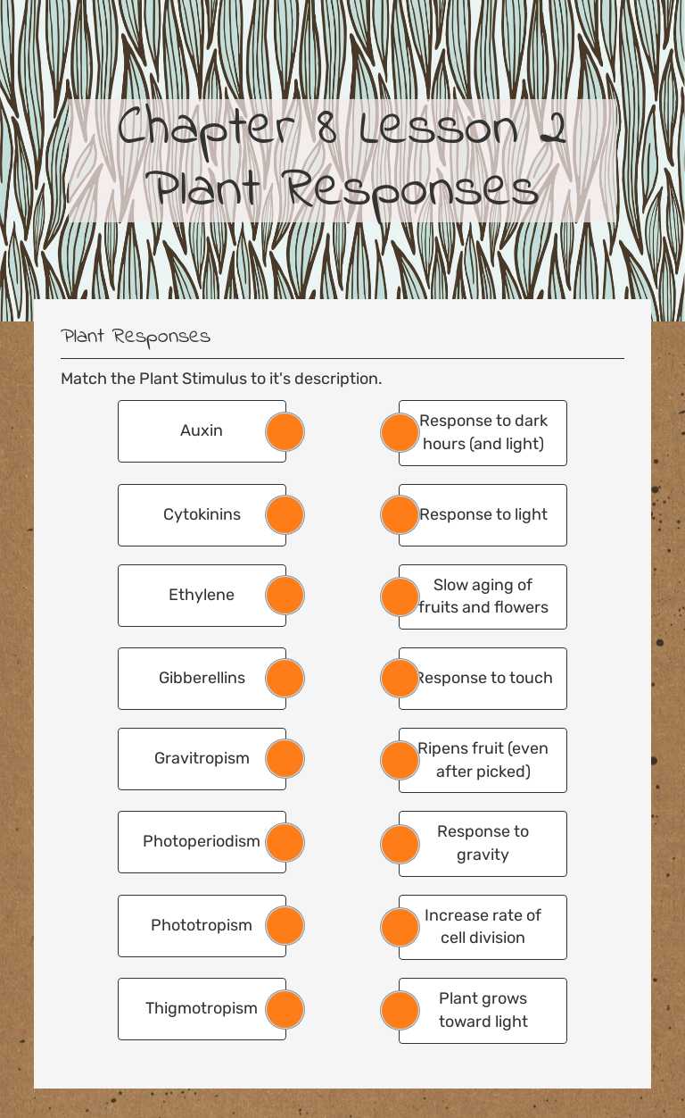 Chapter 8 Lesson 2      Plant Responses worksheet preview image