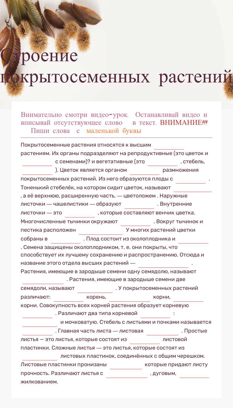 Строение покрытосеменных растений worksheet preview image
