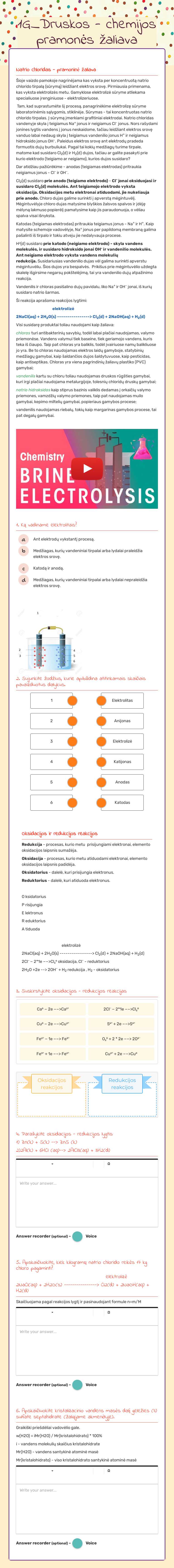 1G_Druskos - chemijos pramonės žaliava worksheet preview image