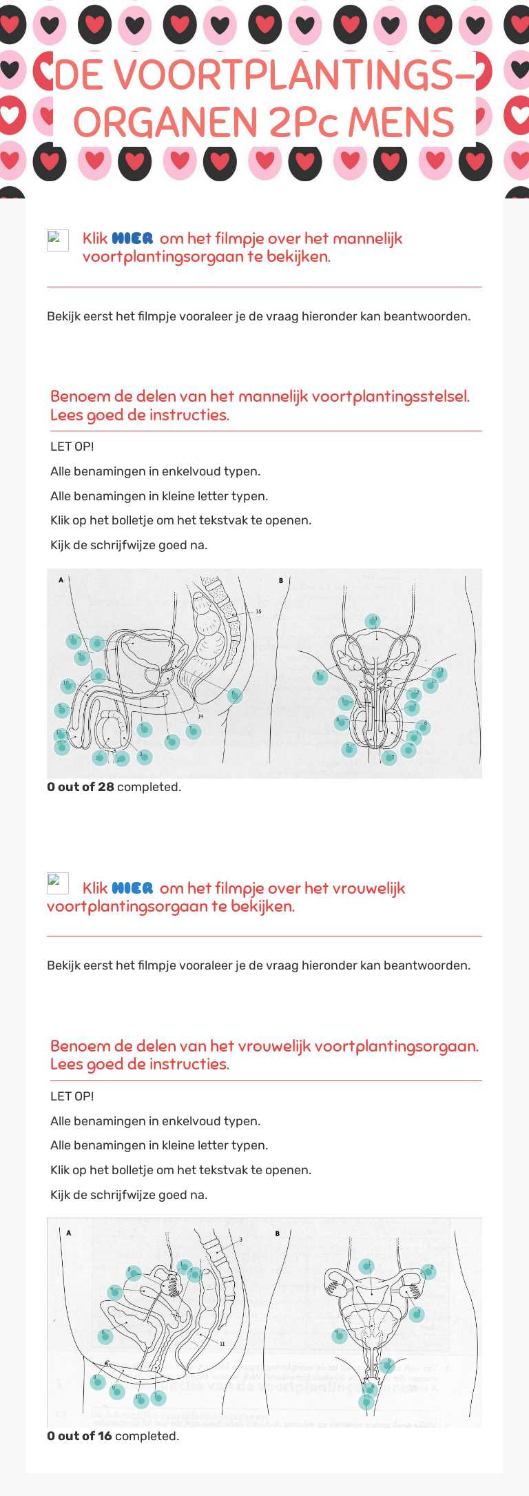 DE VOORTPLANTINGS-ORGANEN 
2Pc MENS worksheet preview image
