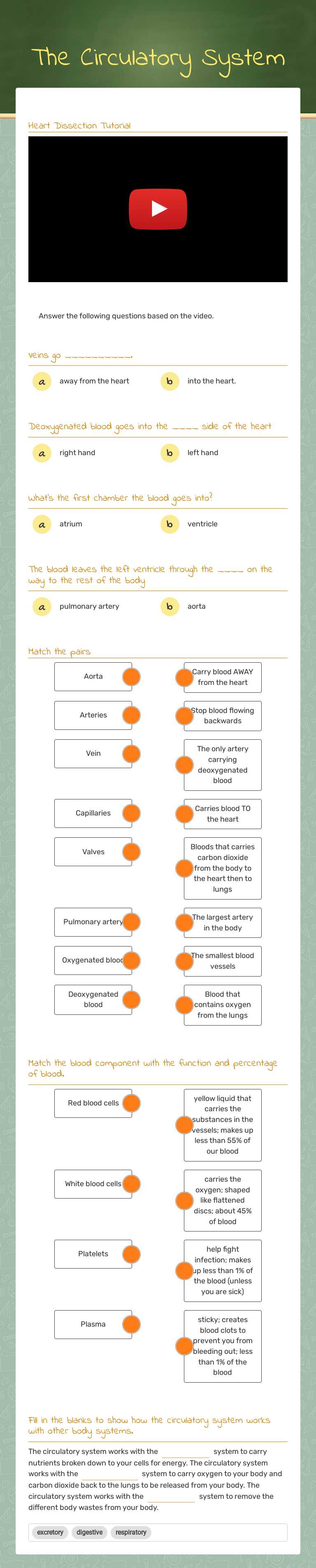 The Circulatory System worksheet preview image